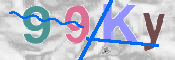 CAPTCHA 驗證圖片