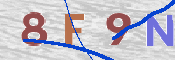 CAPTCHA 驗證圖片