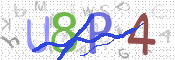 CAPTCHA 驗證圖片