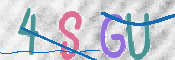 CAPTCHA 驗證圖片