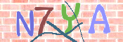 CAPTCHA 驗證圖片
