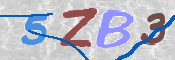 CAPTCHA 驗證圖片