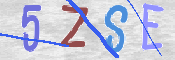 CAPTCHA 驗證圖片