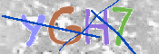 CAPTCHA 驗證圖片