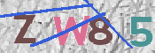 CAPTCHA 驗證圖片