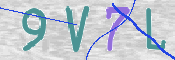 CAPTCHA 驗證圖片