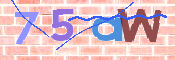 CAPTCHA 驗證圖片