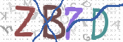 CAPTCHA 驗證圖片