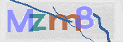 CAPTCHA 驗證圖片