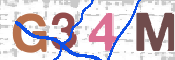 CAPTCHA 驗證圖片