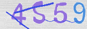 CAPTCHA 驗證圖片