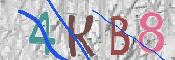 CAPTCHA 驗證圖片