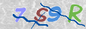 CAPTCHA 驗證圖片