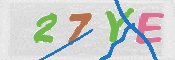 CAPTCHA 驗證圖片