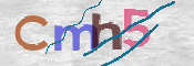 CAPTCHA 驗證圖片