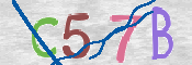 CAPTCHA 驗證圖片