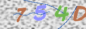 CAPTCHA 驗證圖片