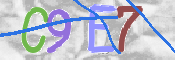 CAPTCHA 驗證圖片