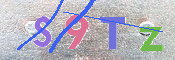 CAPTCHA 驗證圖片