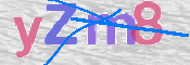 CAPTCHA 驗證圖片