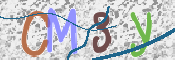 CAPTCHA 驗證圖片
