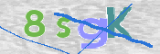 CAPTCHA 驗證圖片