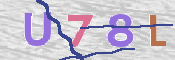 CAPTCHA 驗證圖片