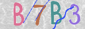 CAPTCHA 驗證圖片