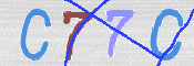 CAPTCHA 驗證圖片