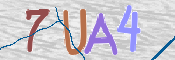CAPTCHA 驗證圖片