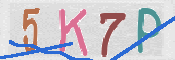 CAPTCHA 驗證圖片