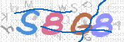 CAPTCHA 驗證圖片