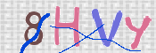 CAPTCHA 驗證圖片