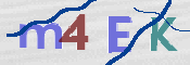 CAPTCHA 驗證圖片