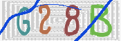 CAPTCHA 驗證圖片