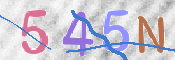 CAPTCHA 驗證圖片