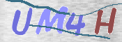 CAPTCHA 驗證圖片