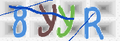 CAPTCHA 驗證圖片
