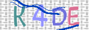 CAPTCHA 驗證圖片