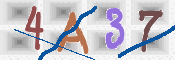 CAPTCHA 驗證圖片