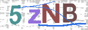 CAPTCHA 驗證圖片
