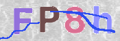 CAPTCHA 驗證圖片