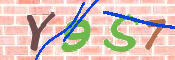 CAPTCHA 驗證圖片