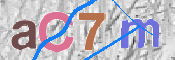 CAPTCHA 驗證圖片