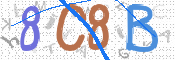 CAPTCHA 驗證圖片