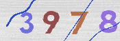 CAPTCHA 驗證圖片