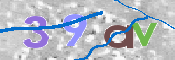 CAPTCHA 驗證圖片