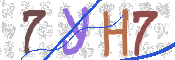 CAPTCHA 驗證圖片