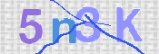 CAPTCHA 驗證圖片