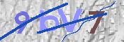 CAPTCHA 驗證圖片